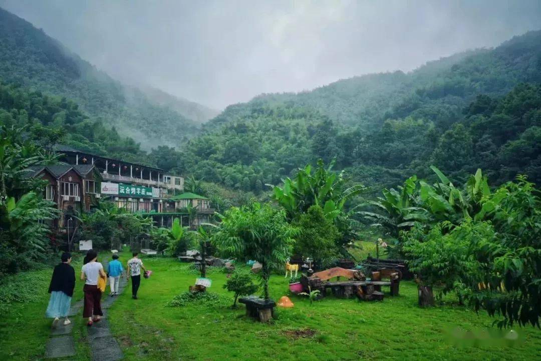 一口春笋咬住春光黄土岭山庄春笋新鲜上市冲呀