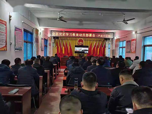 西平县芦庙乡召开党史学习教育动员部署会