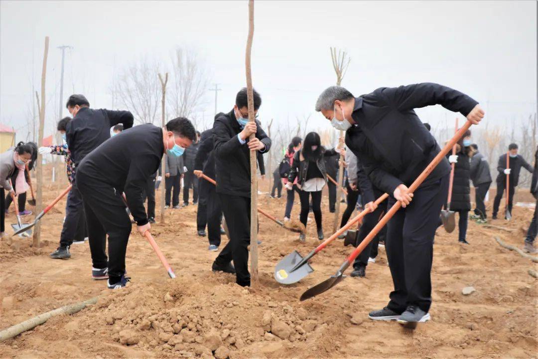 6万亩,已完成10.31万亩