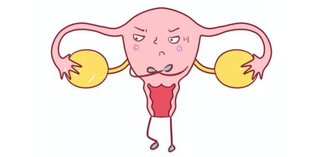 这位医生告诉你答案!_子宫