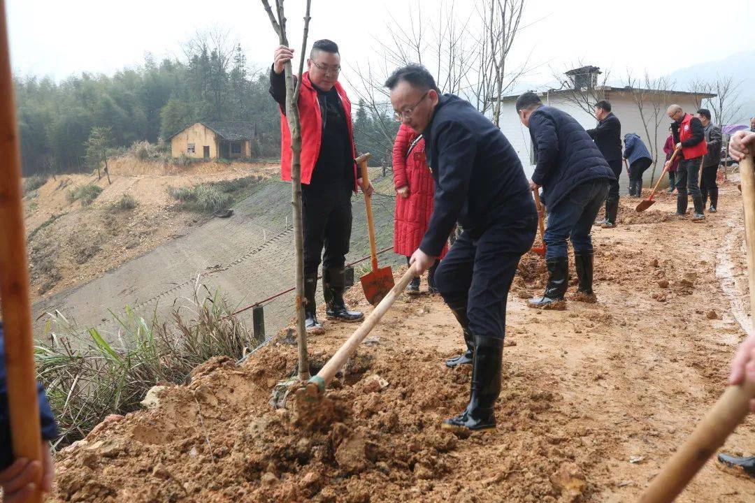 县五大家领导义务植树,桃江大地添新绿