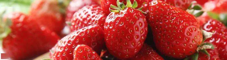 魔都摘草莓指南来了！7大区，21家草莓园，一键开启“莓”好“食”光