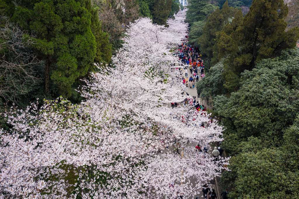 来源:ic photo 2021-03-13 15:48