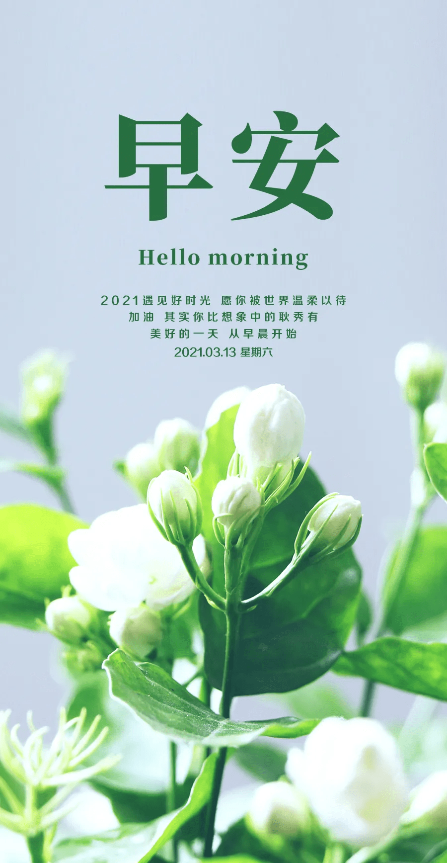 1d706c797c63482a99d0459efa47cb75.png