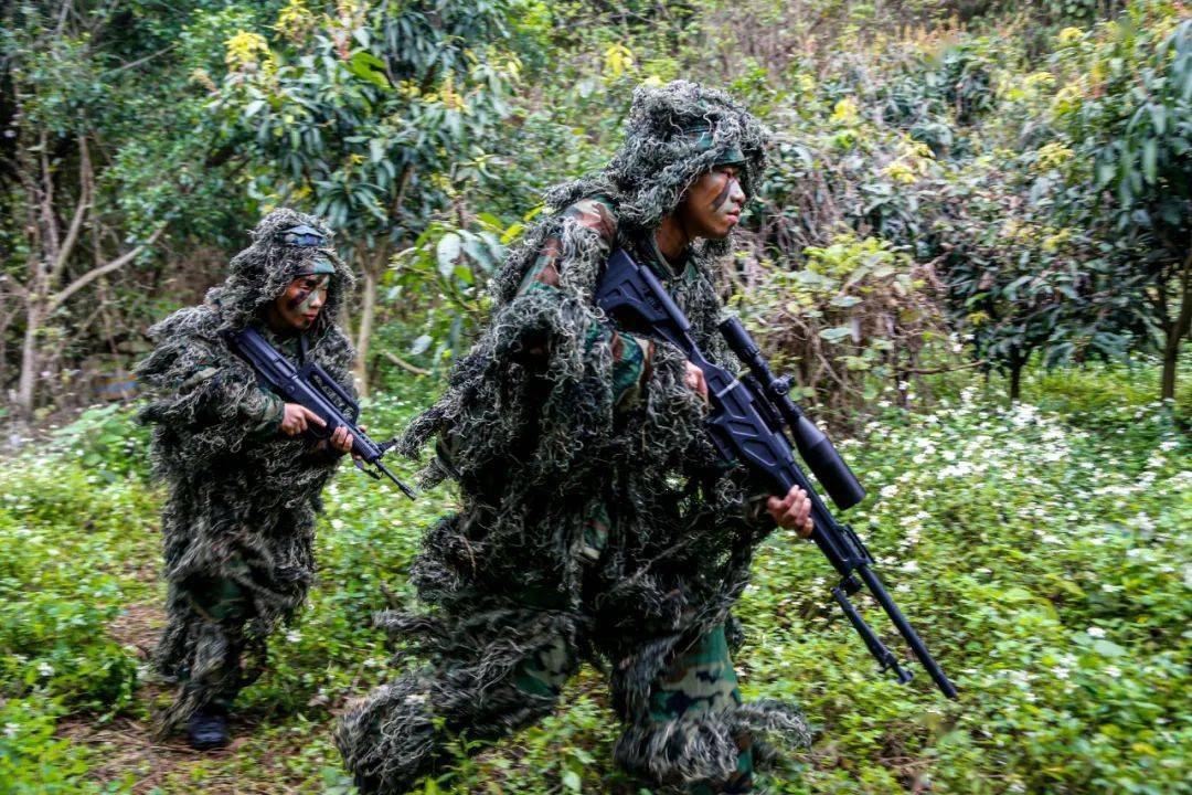 密林深处山林地捕歼战斗打响
