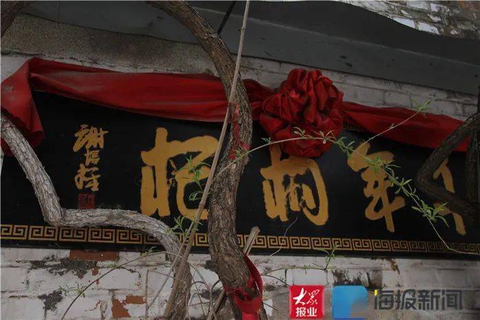 菏泽遍布名木古树！千年枸杞树宛若“巨型绿伞”，枝条覆盖近半个
