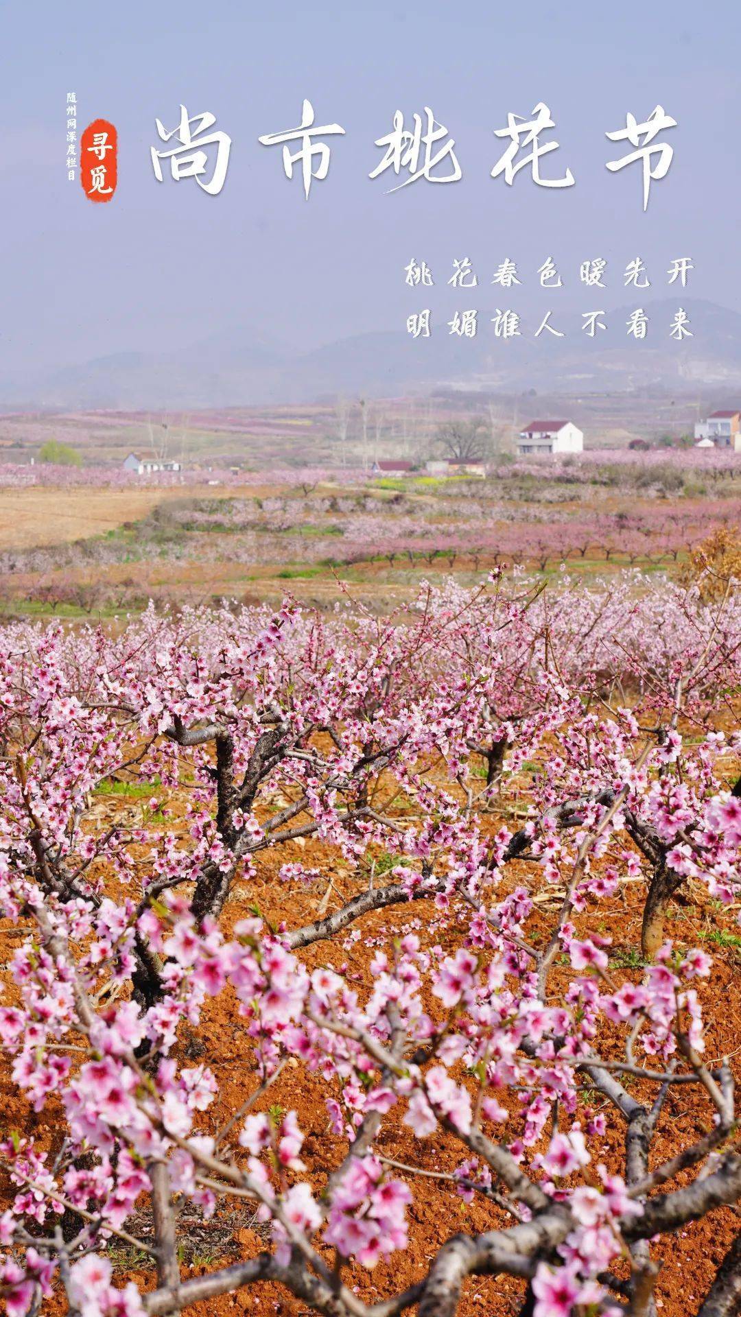 天桂山桃花节图片
