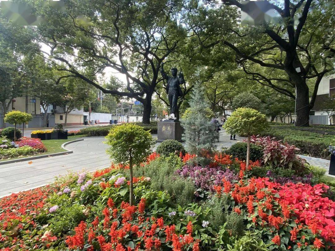 徐匯這些公園綠地舊貌換新顏_花園