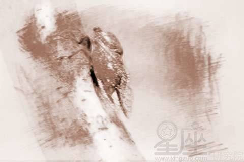 周公解梦,家中短粗白蛇之谜——寓意与启示 周公解梦,家中短粗白蛇之谜——寓意与启示