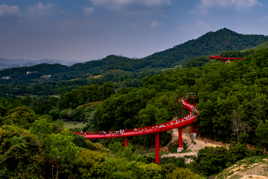 国际"鹏友"镜头中的鹏城:光明篇 —— 外籍摄影师点赞光明科技和生态