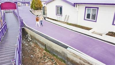韩国紫色小岛引客来