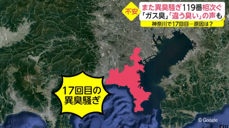 神奈川异臭再现 异臭与以往不同 此前专家推测是这三种情况导致 青潮