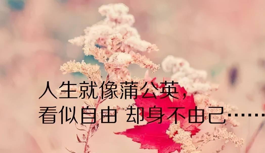 c5052abf66264b60a142318e90b2d326.jpeg