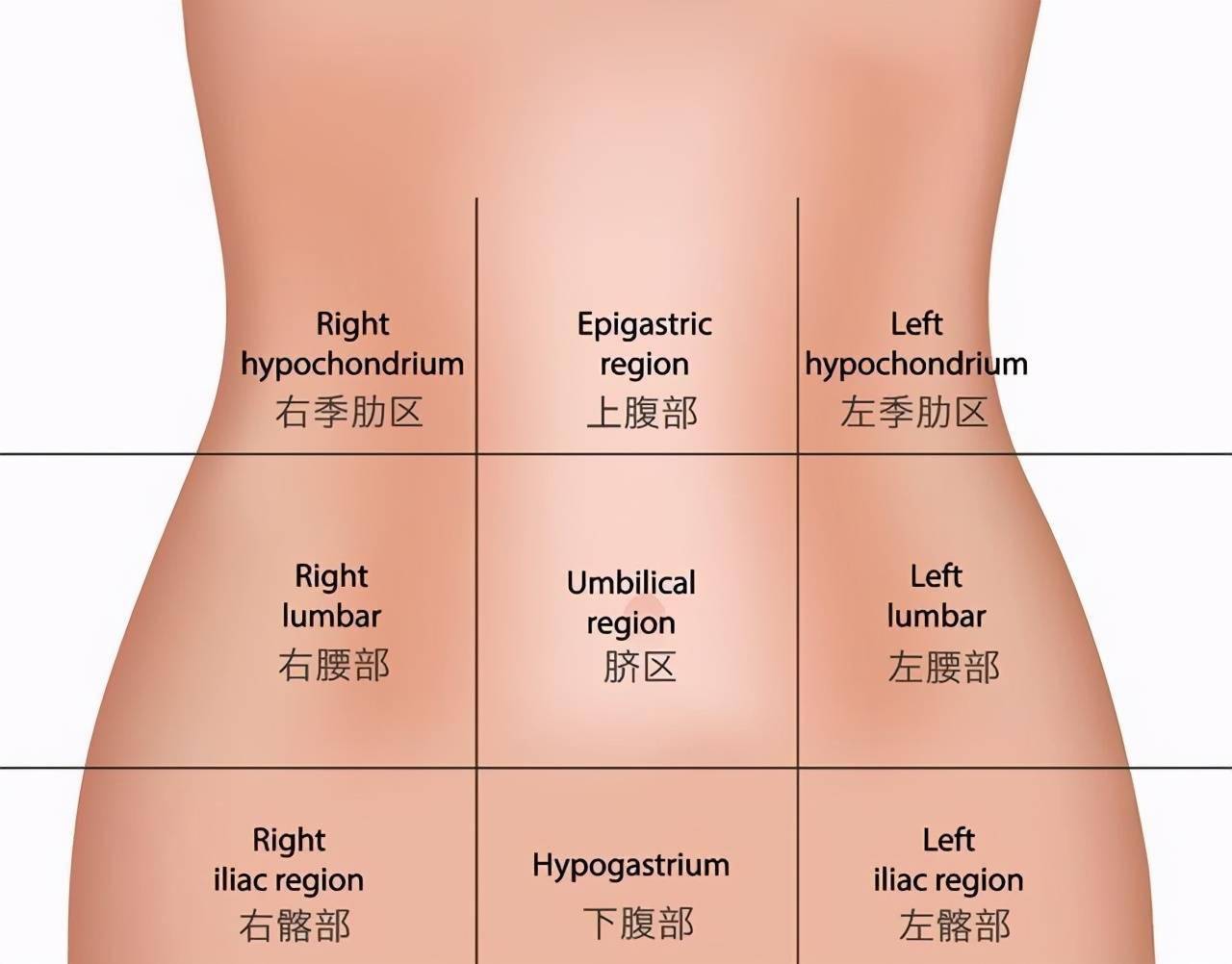 左侧腹部疼痛是哪些病引起的去医院要做什么检查医生告诉您