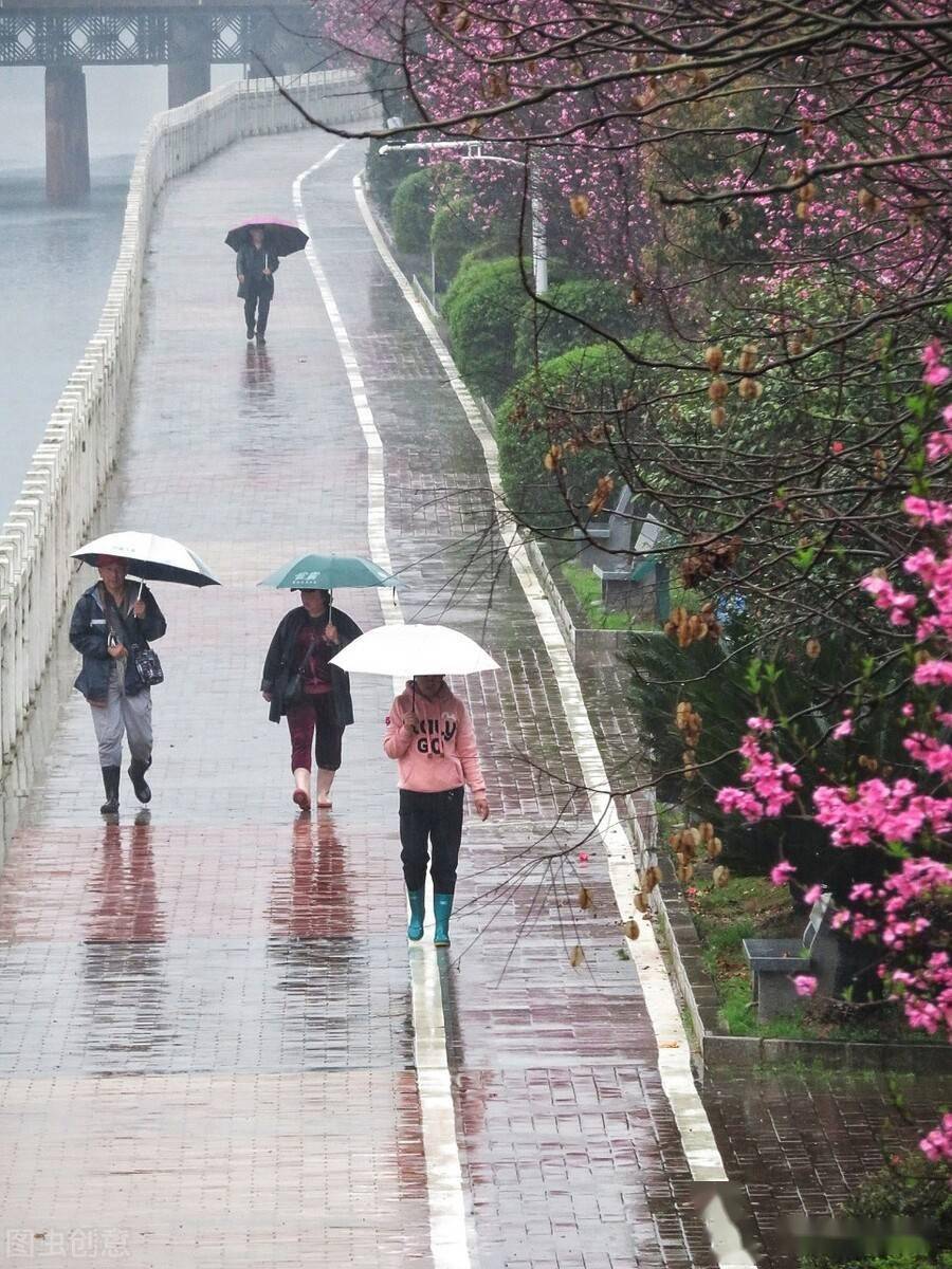 合肥这春雨 要下到什么时候 天气