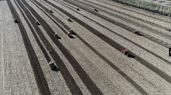 大庆市农业农村局农村合作经济指导科负责人万晶说:"目前,全市农业