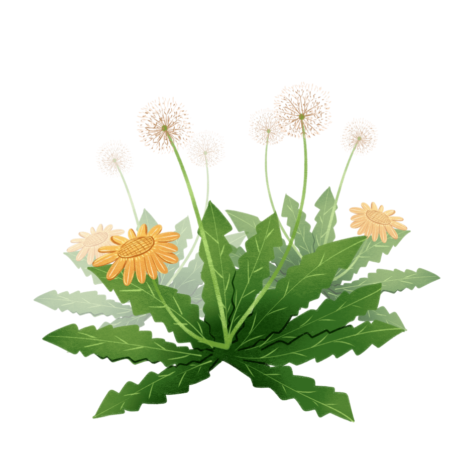 7c515e87f8d04aeaa9ab604f888c75e5.png