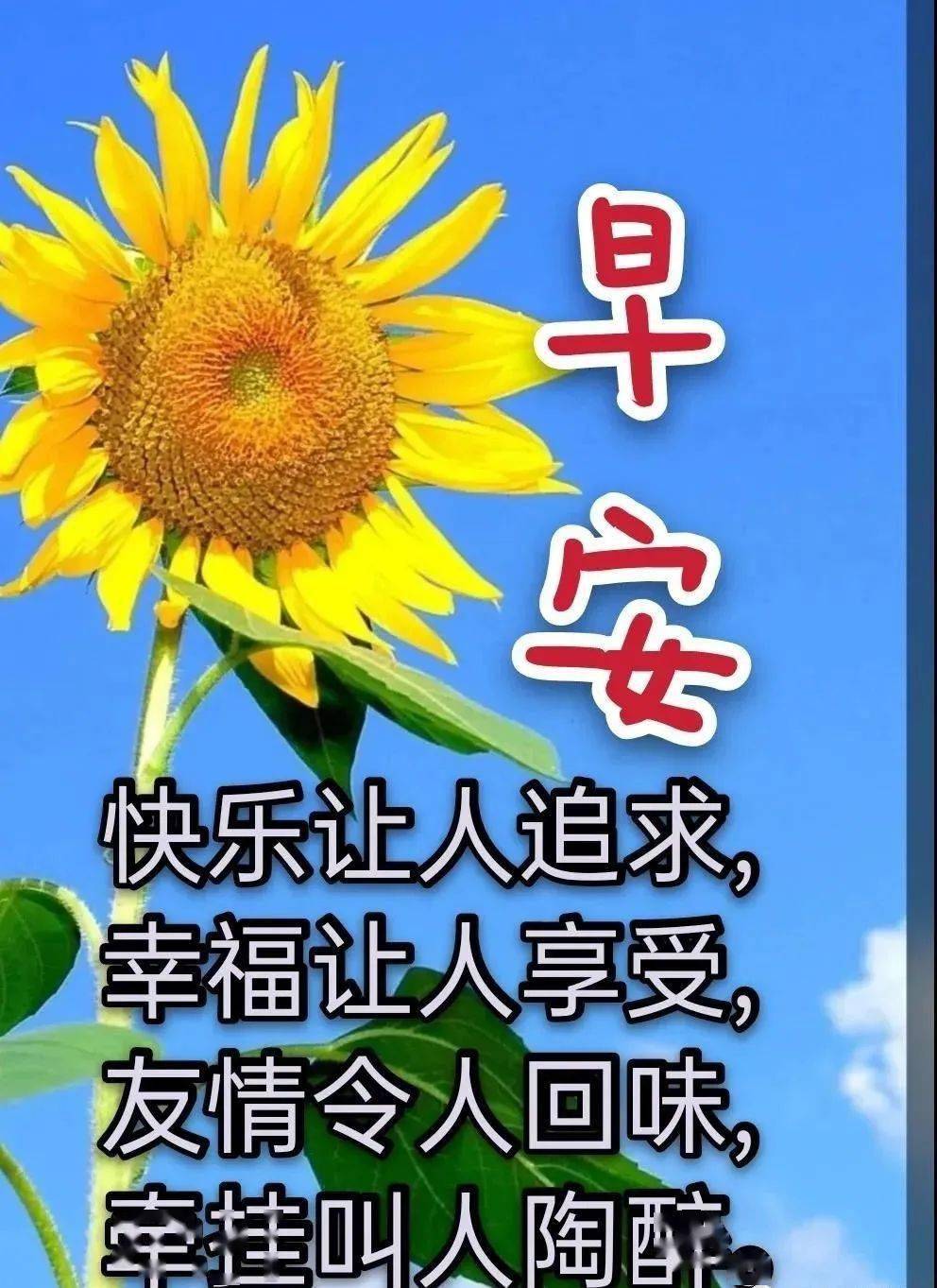 朋友问候语图片 温馨图片