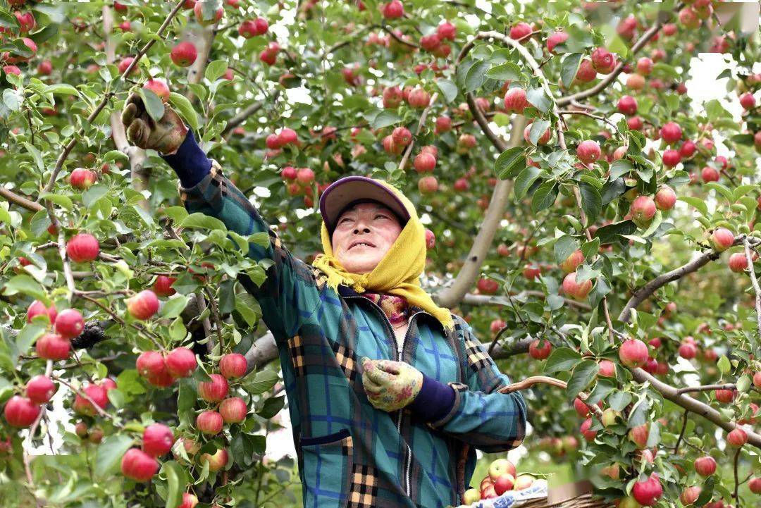 云展览(16)2020长春市职工书画摄影展——优秀摄影作品鉴赏