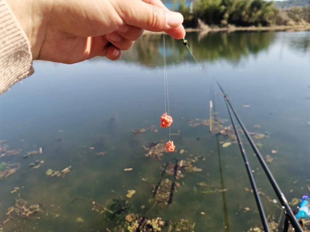 为什么钓浮总没有收获?多半是你用错了地方,野钓要这样用才对