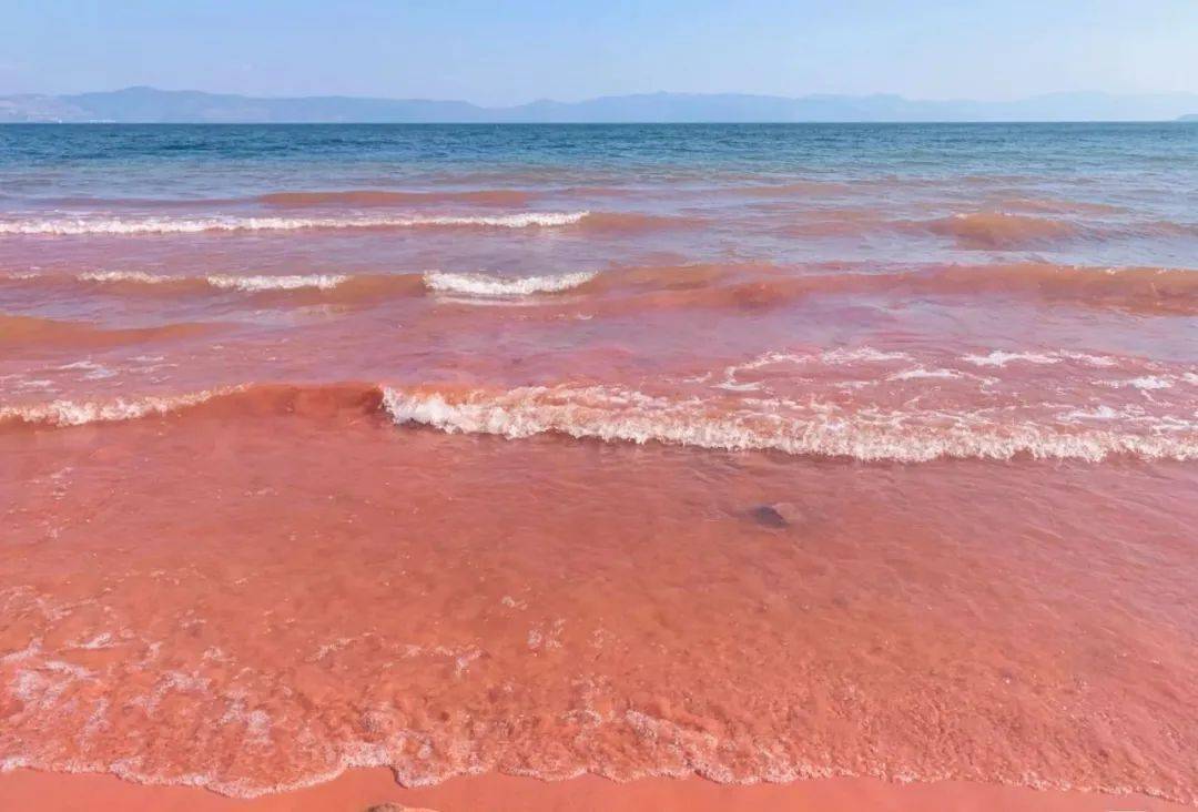 海边壁纸 粉色图片