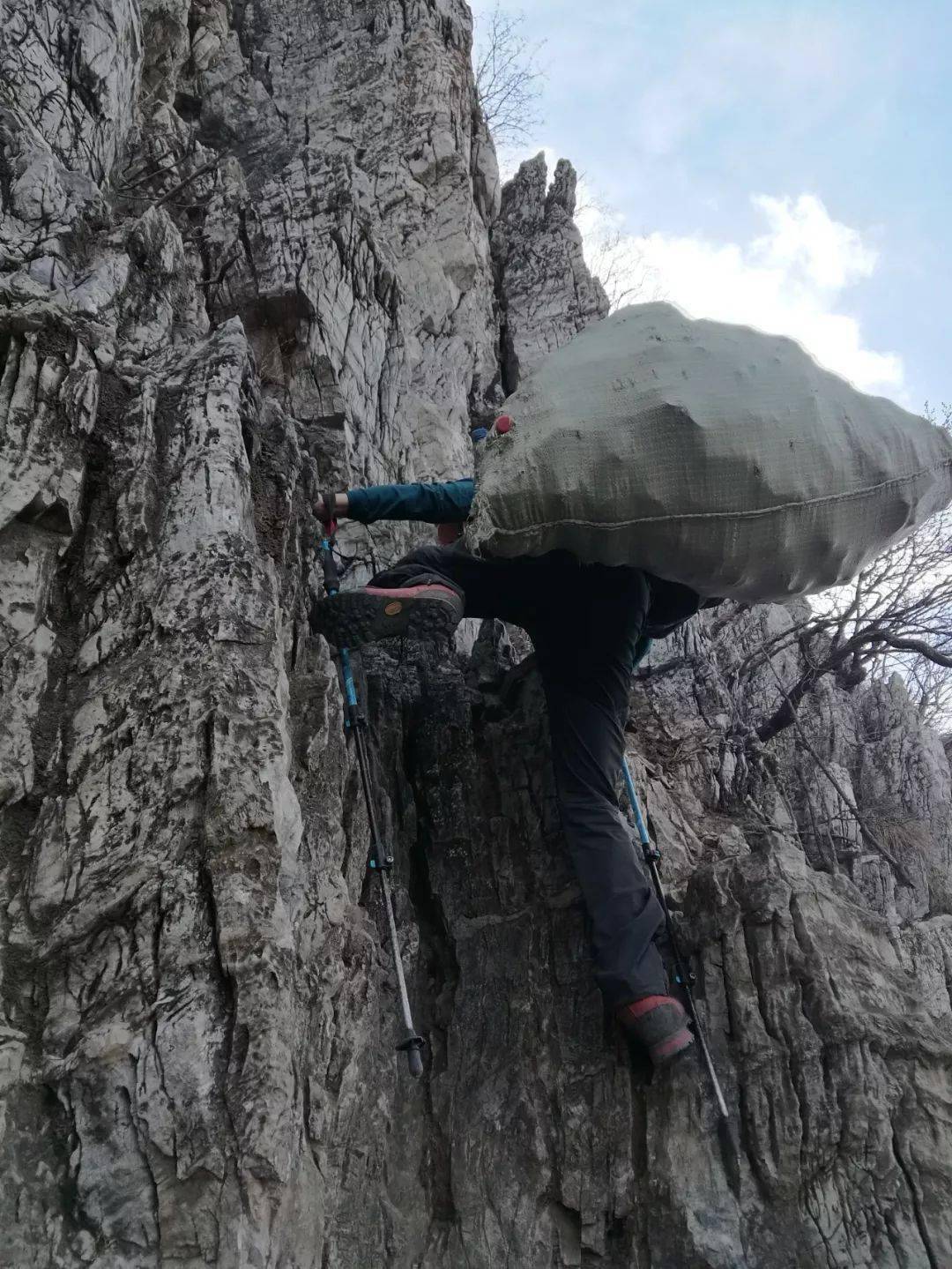 智玲(宣)7,尊重生物链条,爱护花鸟鱼虫,保护环境,人人有责!