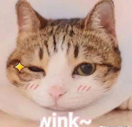 74b14493e3a2493a9180e4e5a72be96d.jpeg