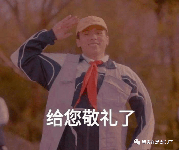 respect敬礼表情包图片