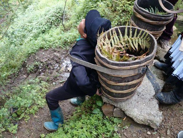 四川省凉山彝族自治州雷波县元宝山乡迎丰村的张史洛是一位典型的彝族
