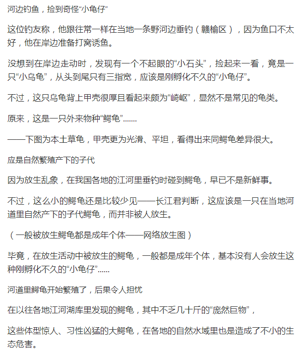 被爱垂钓的鱼简谱_被爱垂钓的鱼(3)