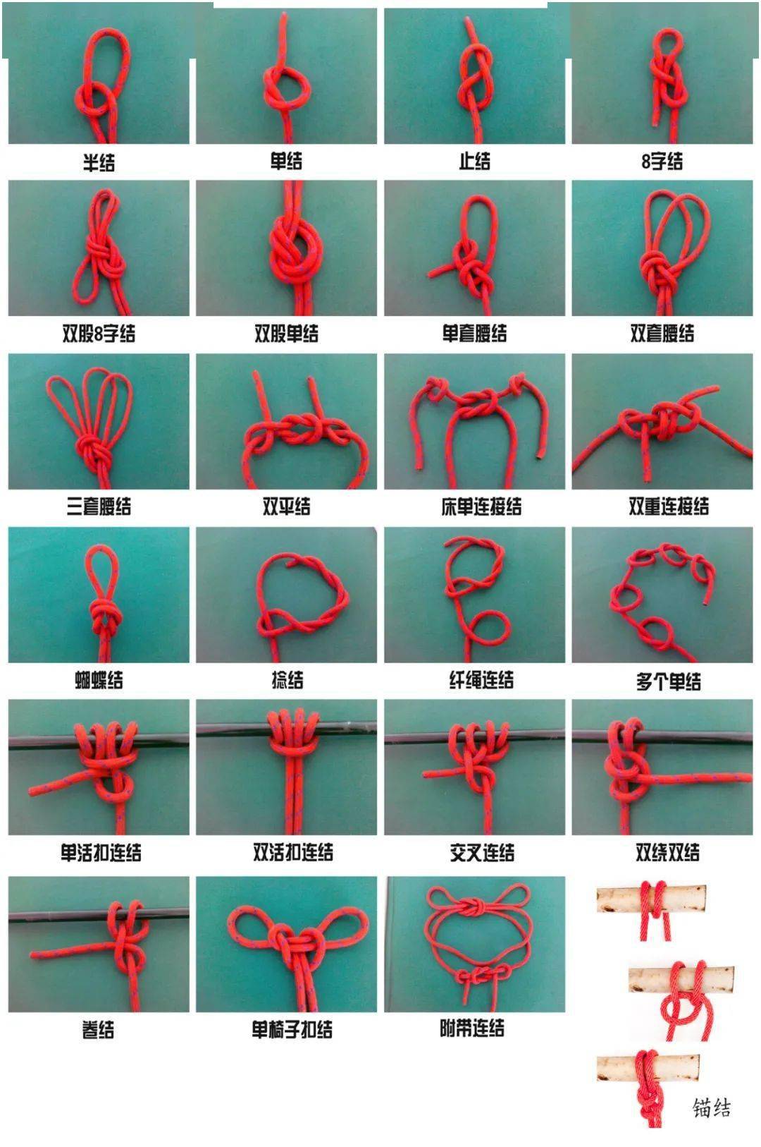 24种结绳法带图图片