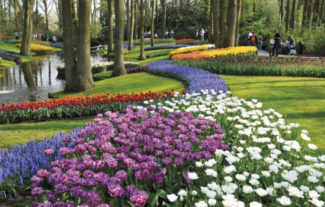 云游四方｜骑行、园艺、艺术设计，最美的春天藏在郁金香花田里