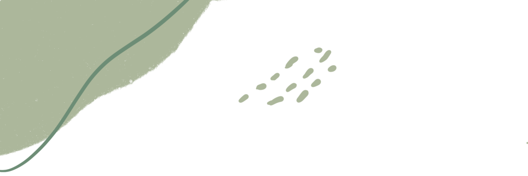 春意迟迟入枝头 落花款款见师大 中心花园