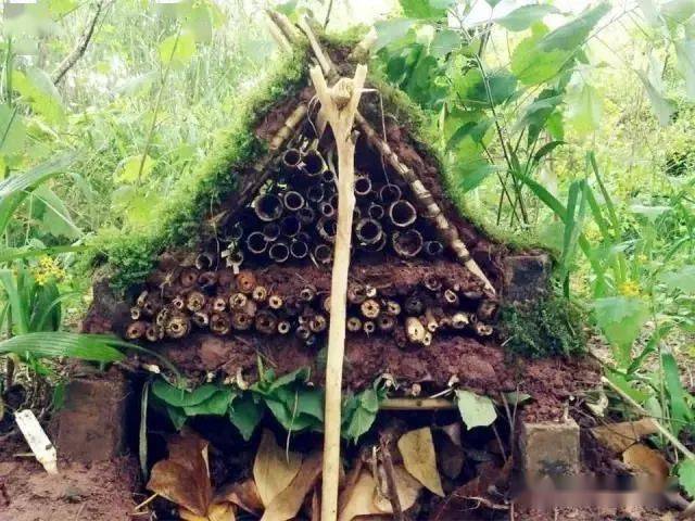 跟着这些创意学做幼儿园昆虫旅馆布置让浓缩的大自然活起来设计分享