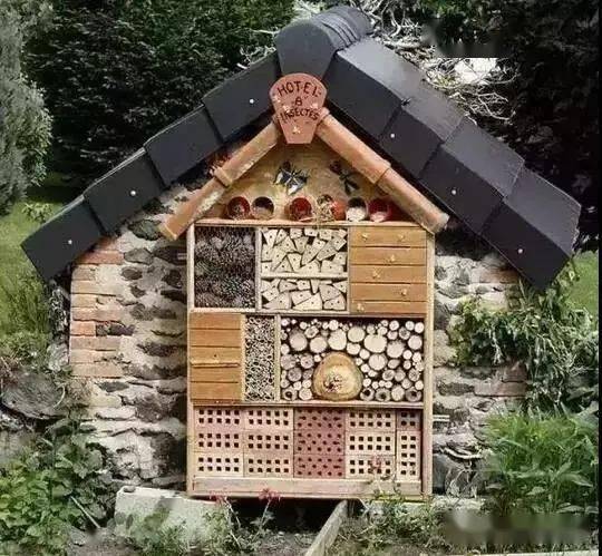 跟着这些创意学做幼儿园昆虫旅馆布置让浓缩的大自然活起来设计分享