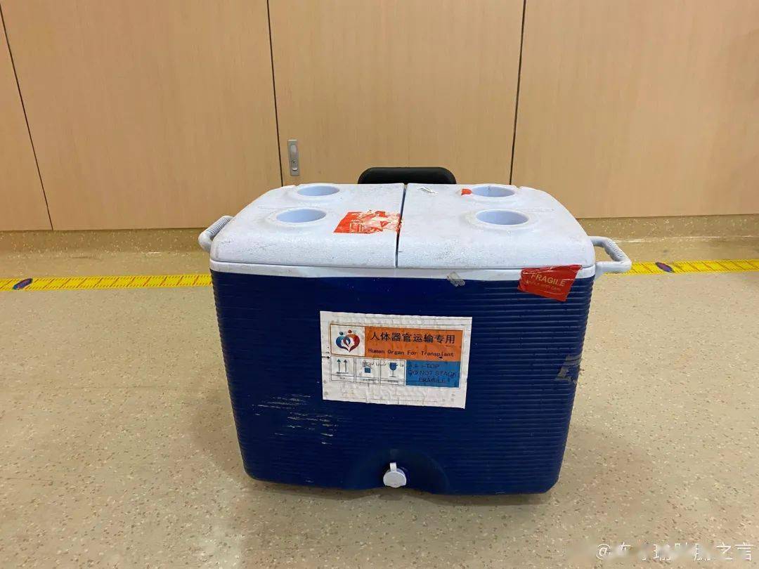 医生转运人体移植器官箱,被通知另外购票