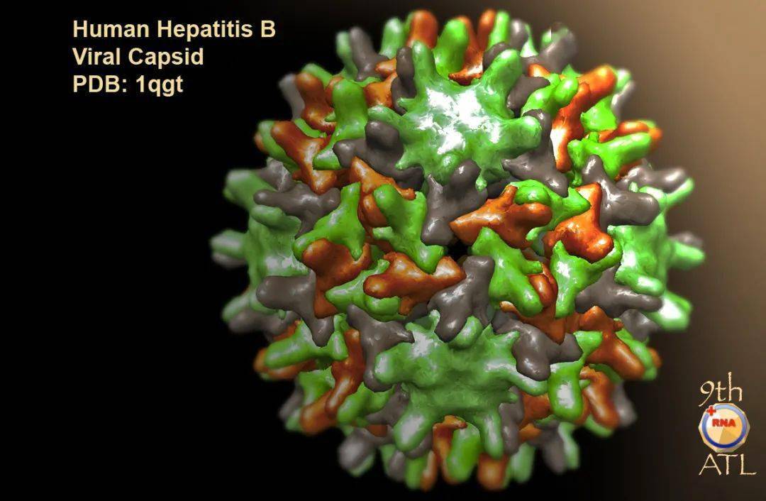 global programme for control of hepatitis b infection.
