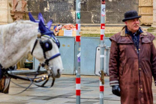 维也纳市民为观光马车捐助食物