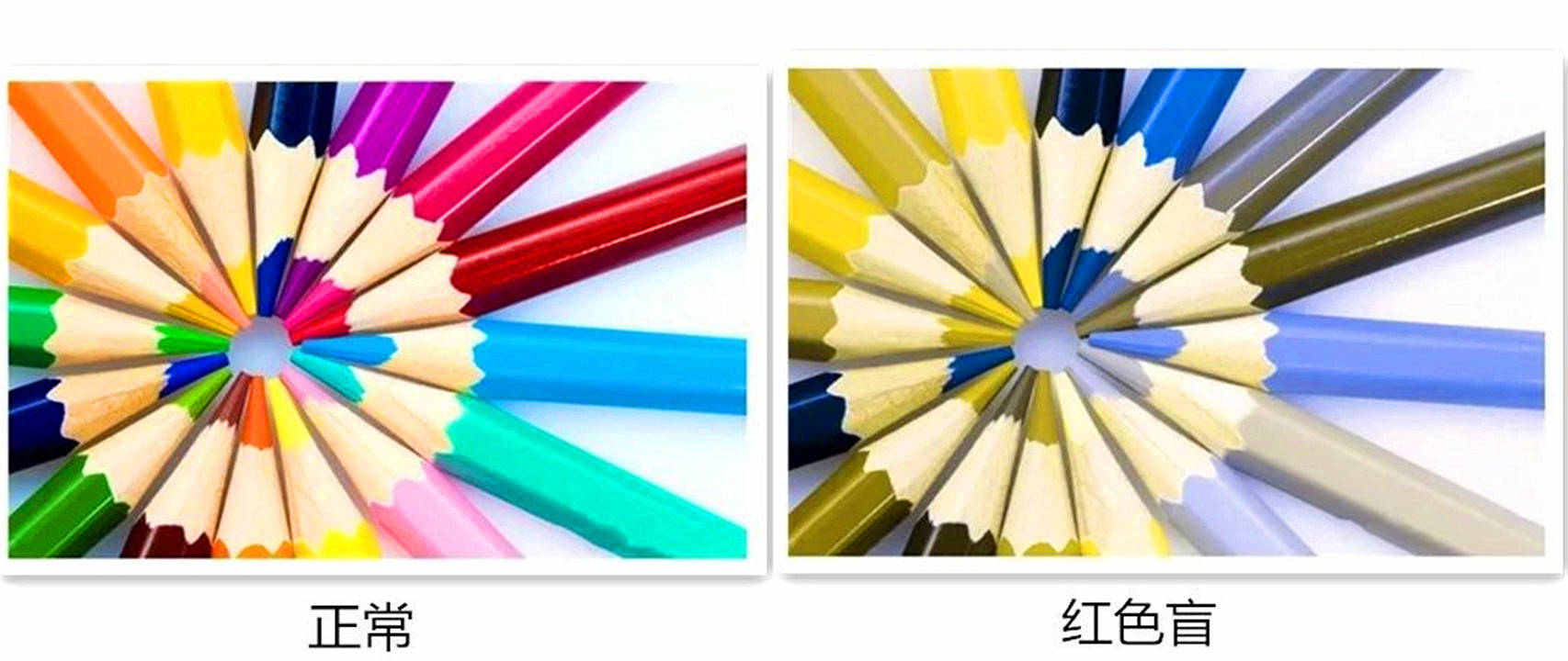 原创色盲眼中的世界是什么样的和正常人有何区别并非黑白世界