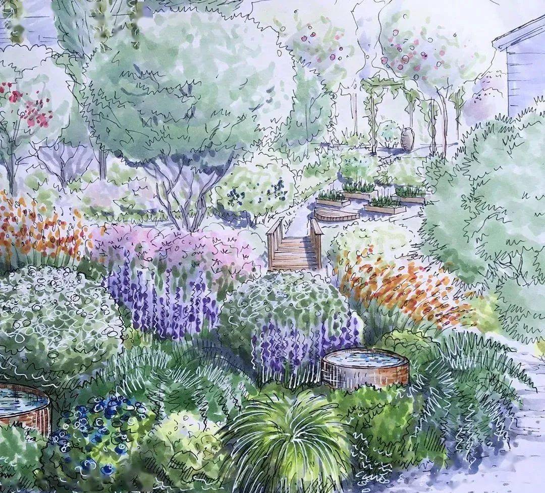 景观手绘|别墅花园景观植物设计_交流