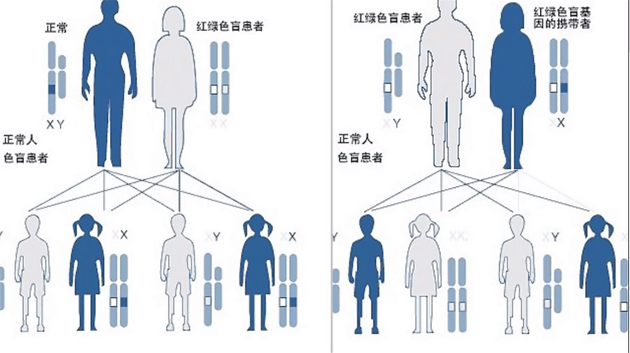 原創色盲眼中的世界是什麼樣的和正常人有何區別並非黑白世界