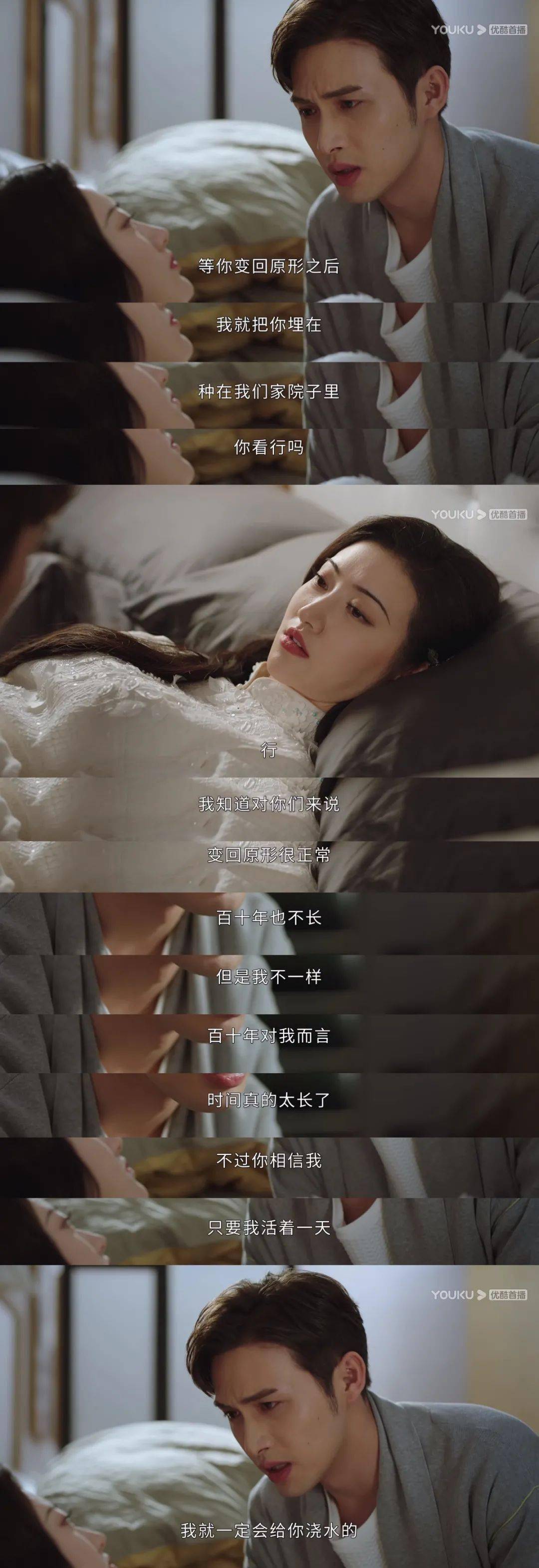 福利司藤开播连登热搜豆瓣评分78犬系男友原来可以这么甜