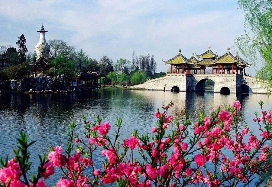 兴化的gdp排名_兴化油菜花(2)