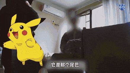 将皮卡丘尾巴当做原创logo上海警方4人涉嫌销售假冒注册商标商品罪被