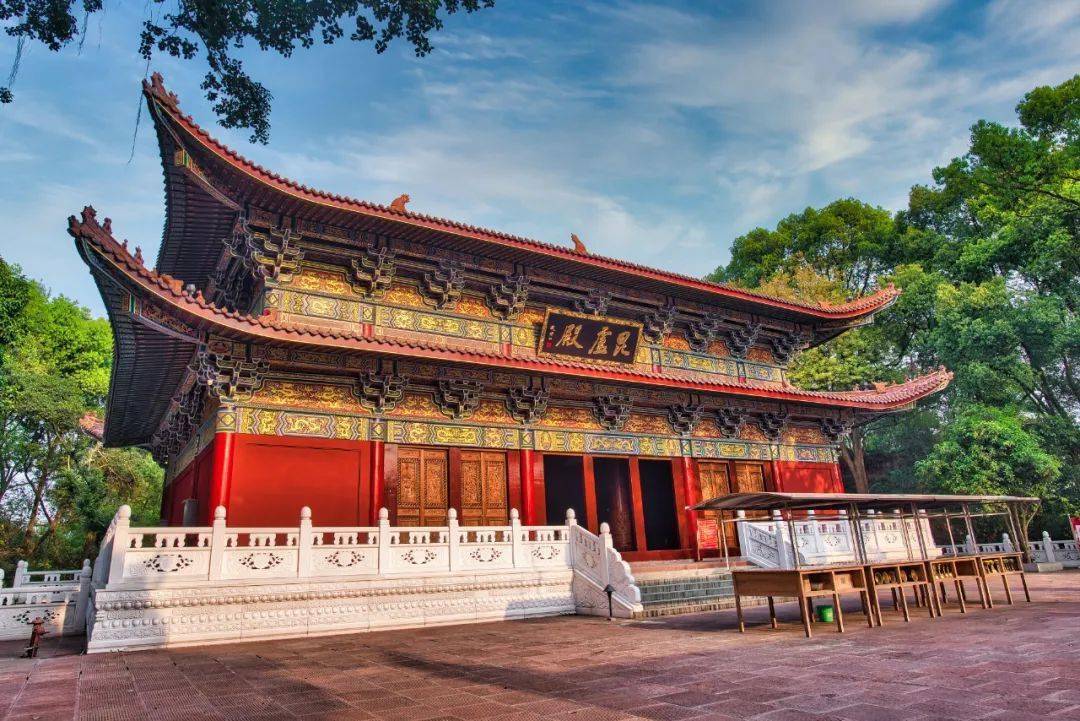 回首相望毗卢院眼神由恍惚到清亮我才意识到或许, 退步原来是向前摄影