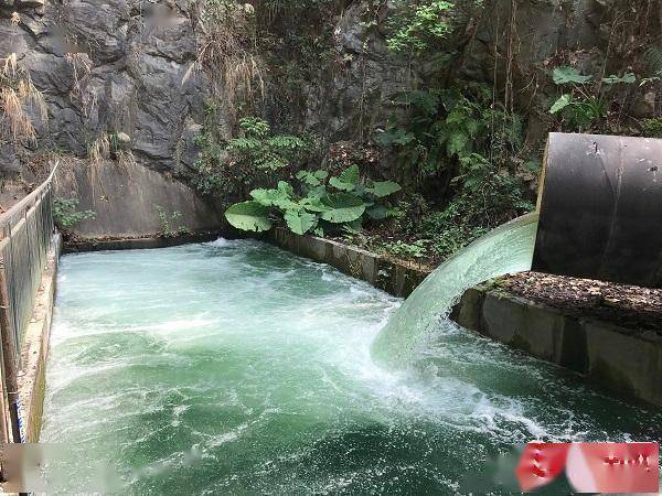 莆田东圳水库科学有效调度水源 保障群众生产生活用水_供水