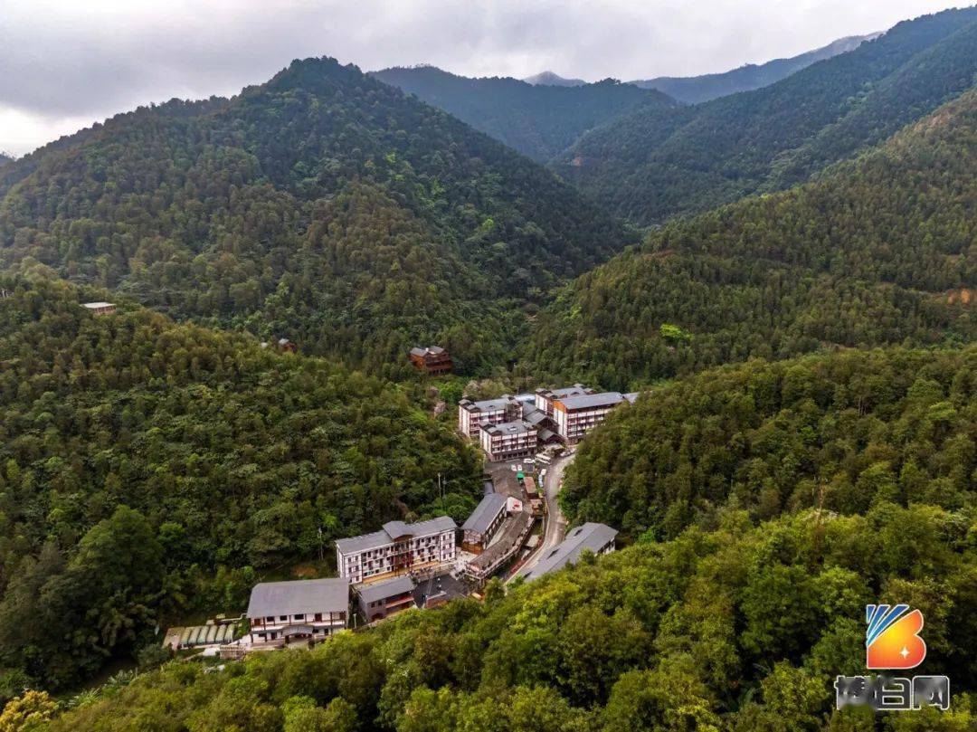 广西六万大山,博白人来了一拨又一拨,只因为今年是