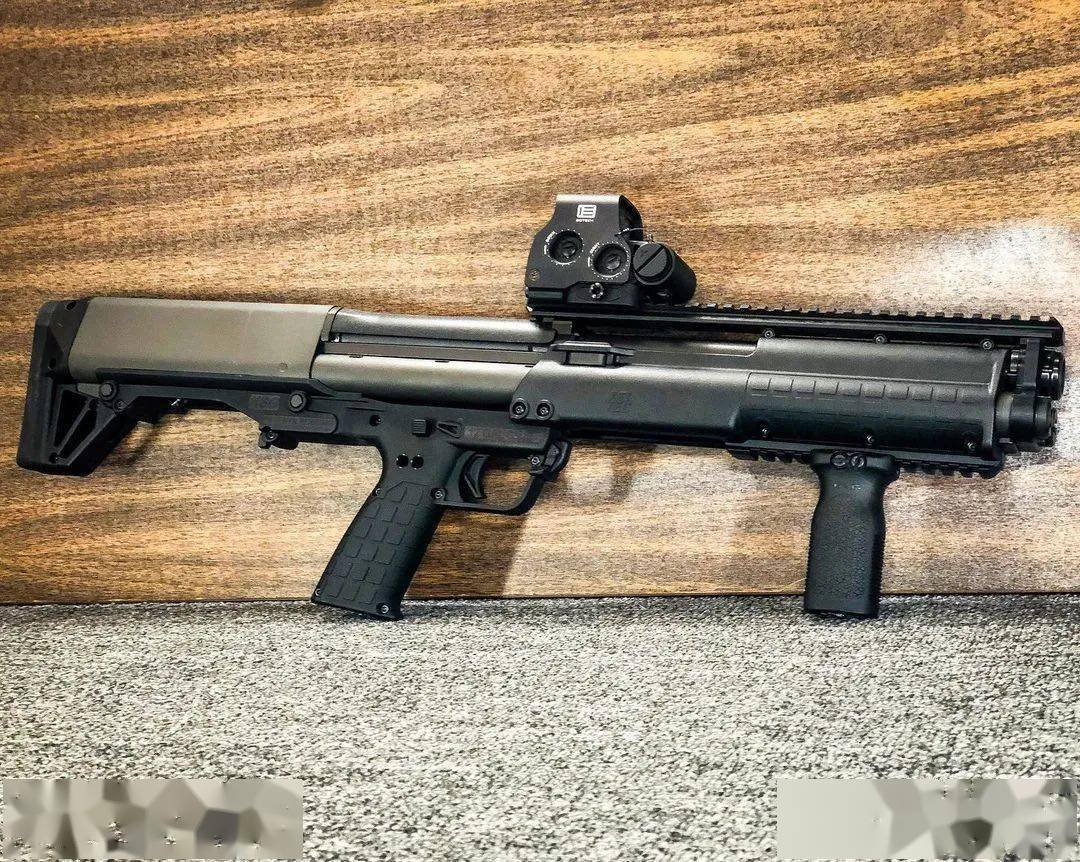 不走寻常路美国keltec公司枪械美图欣赏