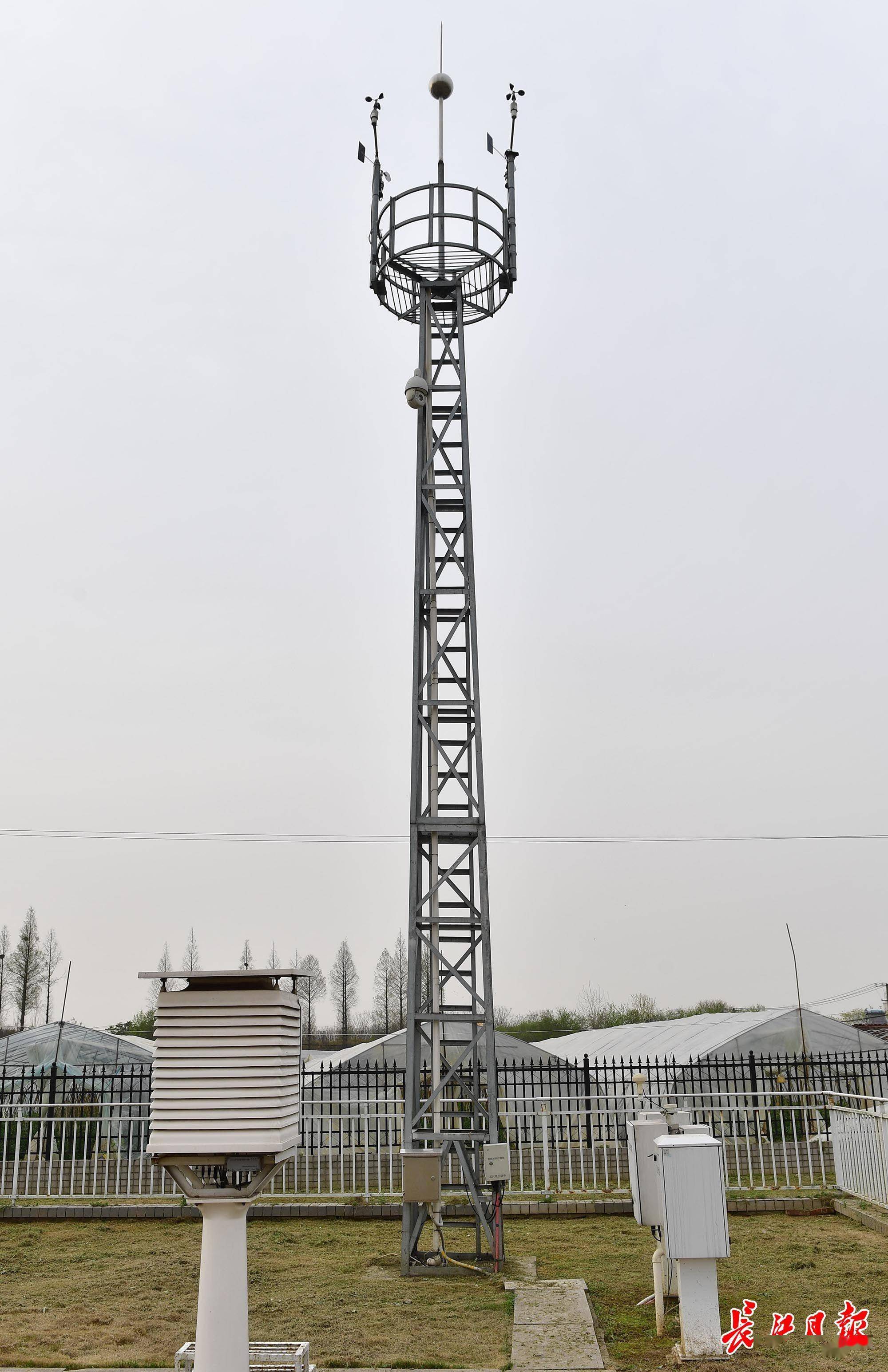 天气数据怎么来的跟随记者探访武汉气象观测站涨知识