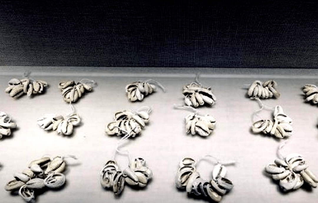 三星堆关于海贝的未解之谜